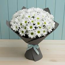 Букет белые хризантемы во Владивостоке Букет цветов из:  Хризантемы во Владивостоке
